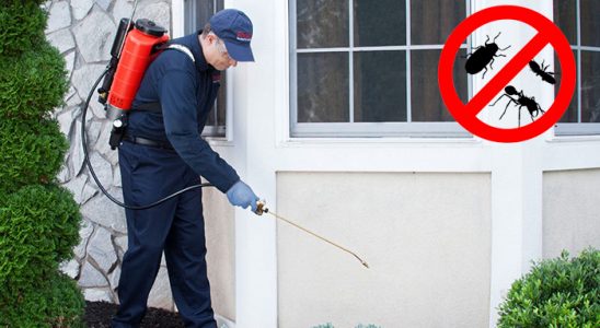 Çamardı Kene İlaçlama böcek ilaçlama ve haşere kontrolü — ilaclama-tr.com